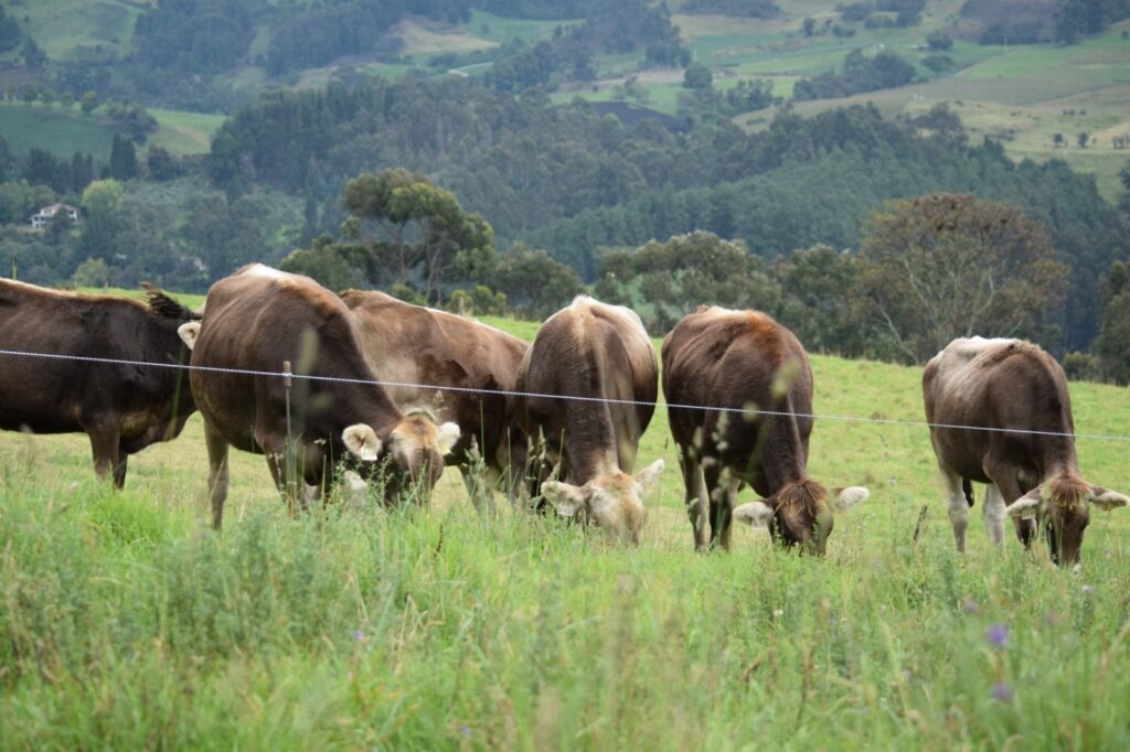 photo 2025 06 15 20 47 06 (1)