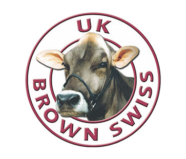 brown swiss logo uk