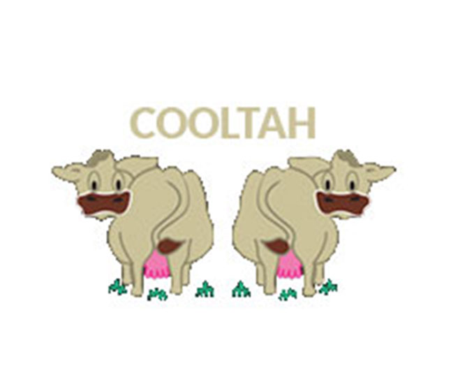 brown swiss logo coolthah