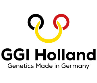 brown swiss logo holanda