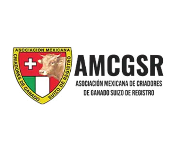 brown swiss logo mexico