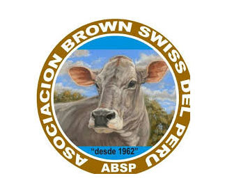 brown swiss peru