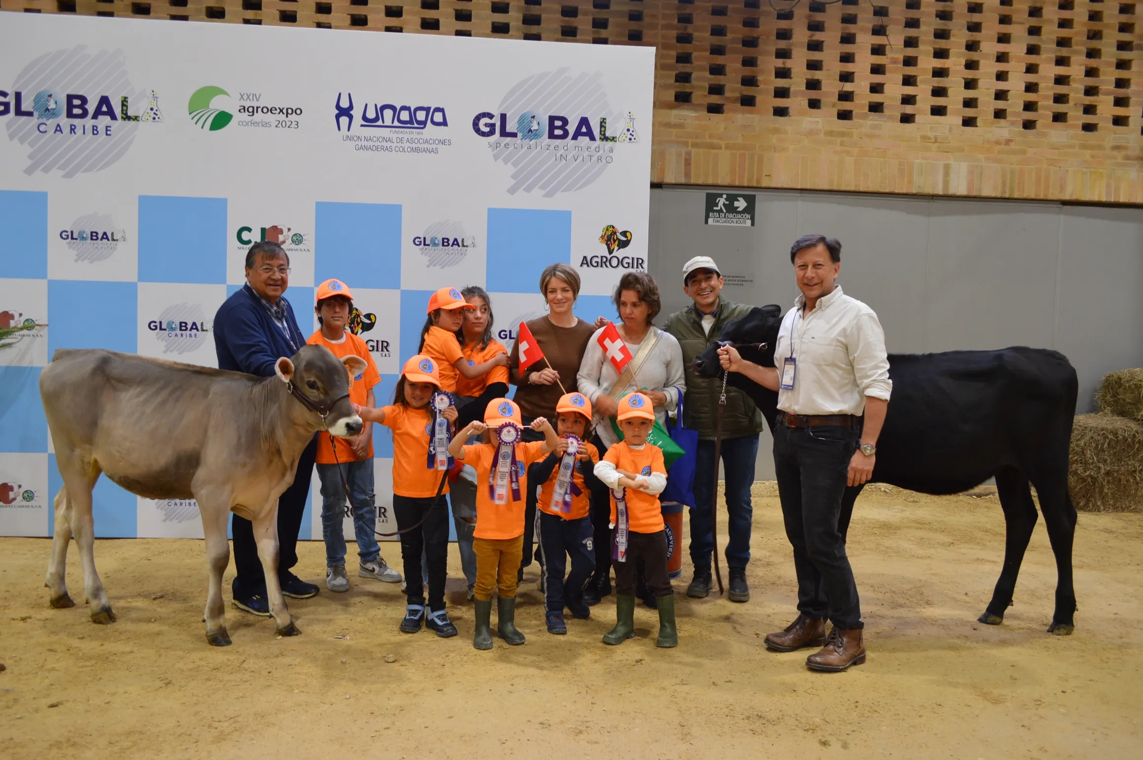 rs=w 2320,h 1542 (10)