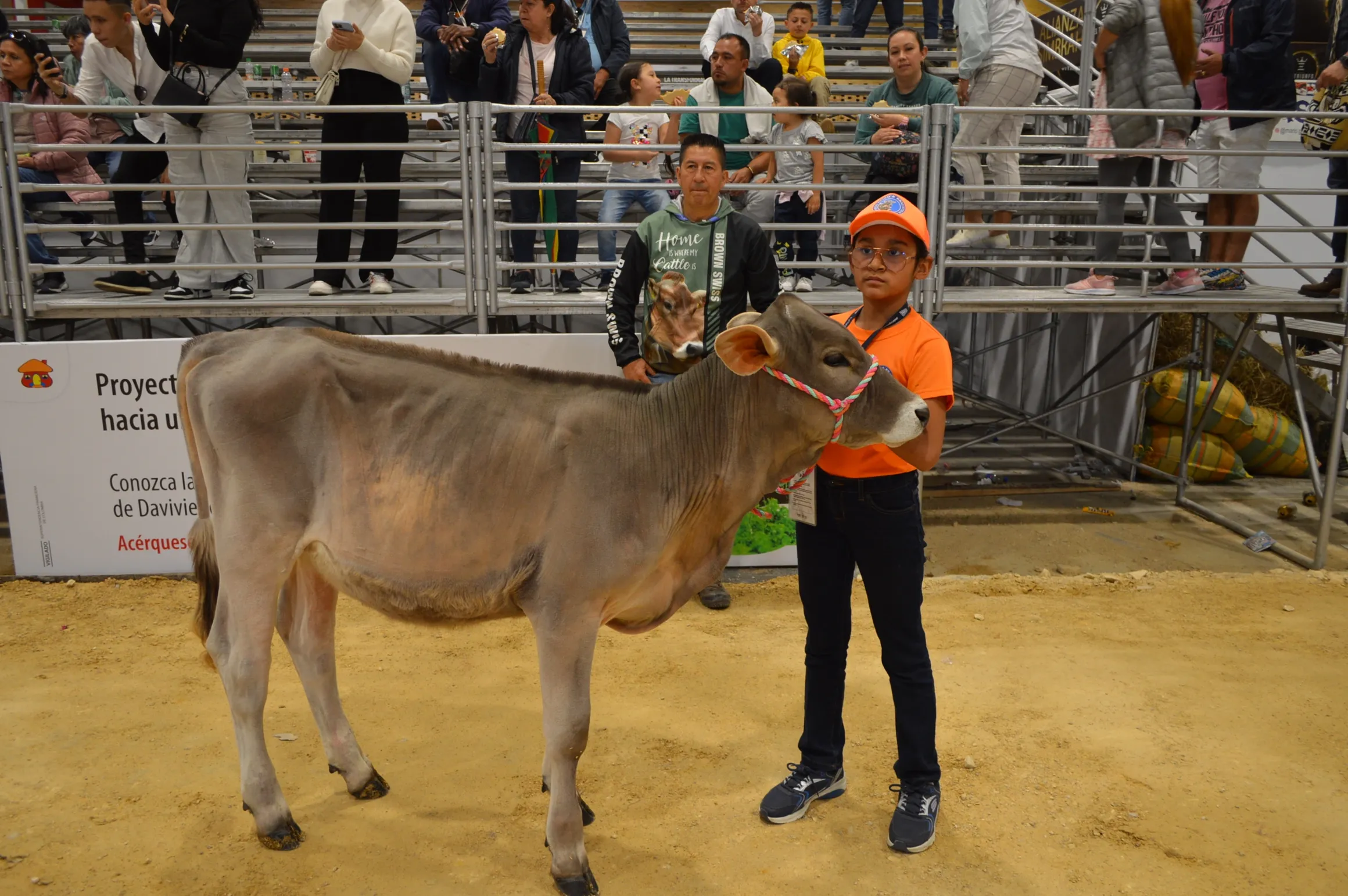 rs=w 2320,h 1542 (12)