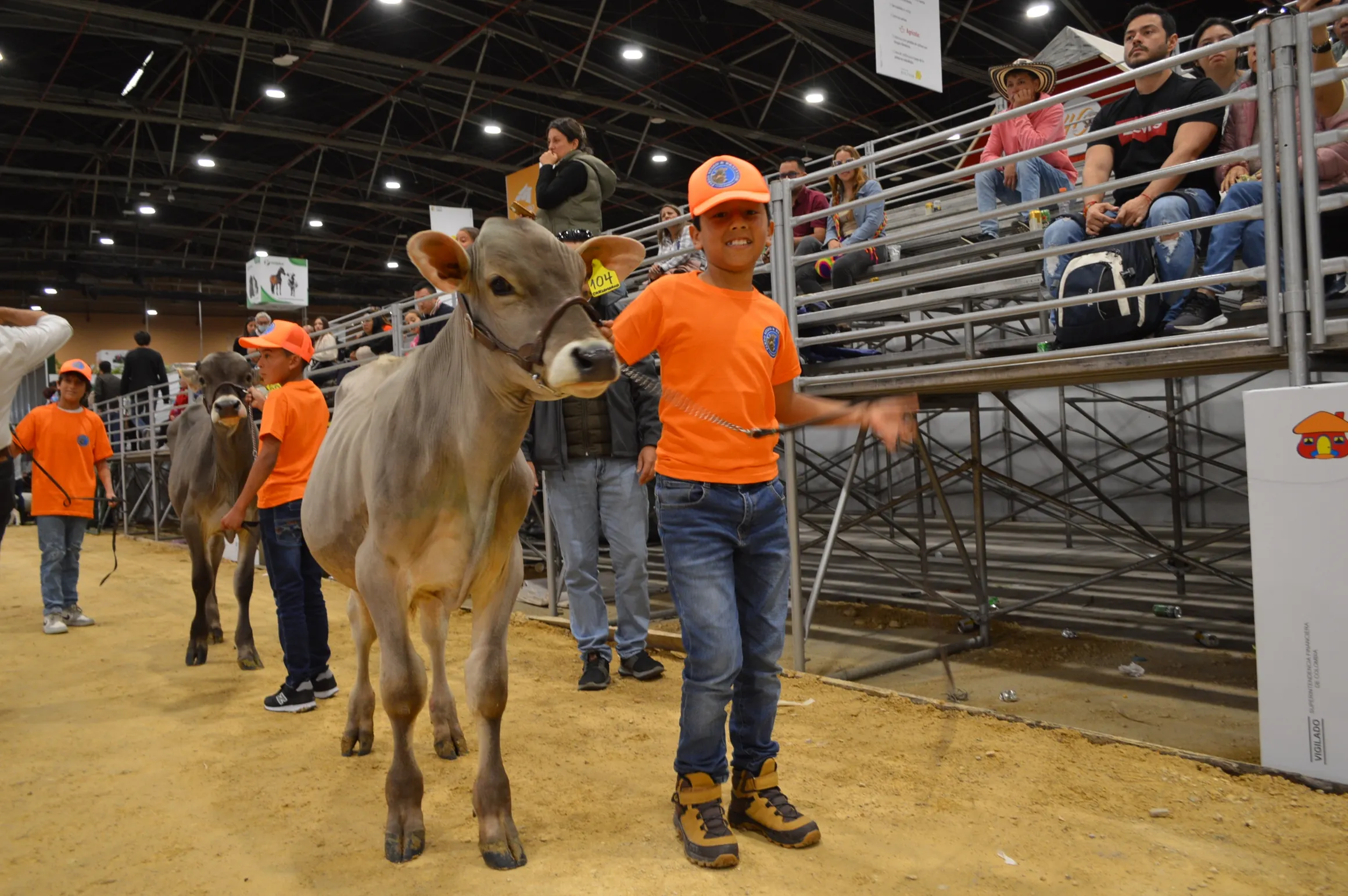 rs=w 2320,h 1542 (13)