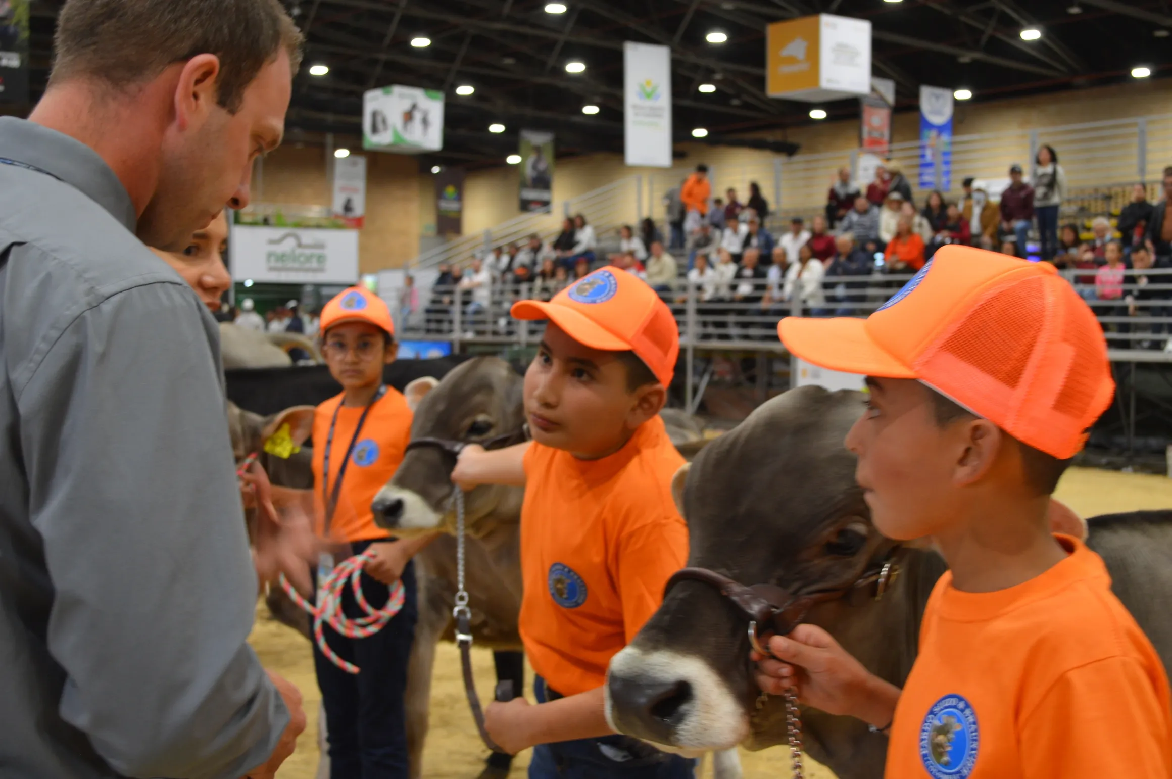 rs=w 2320,h 1542 (14)