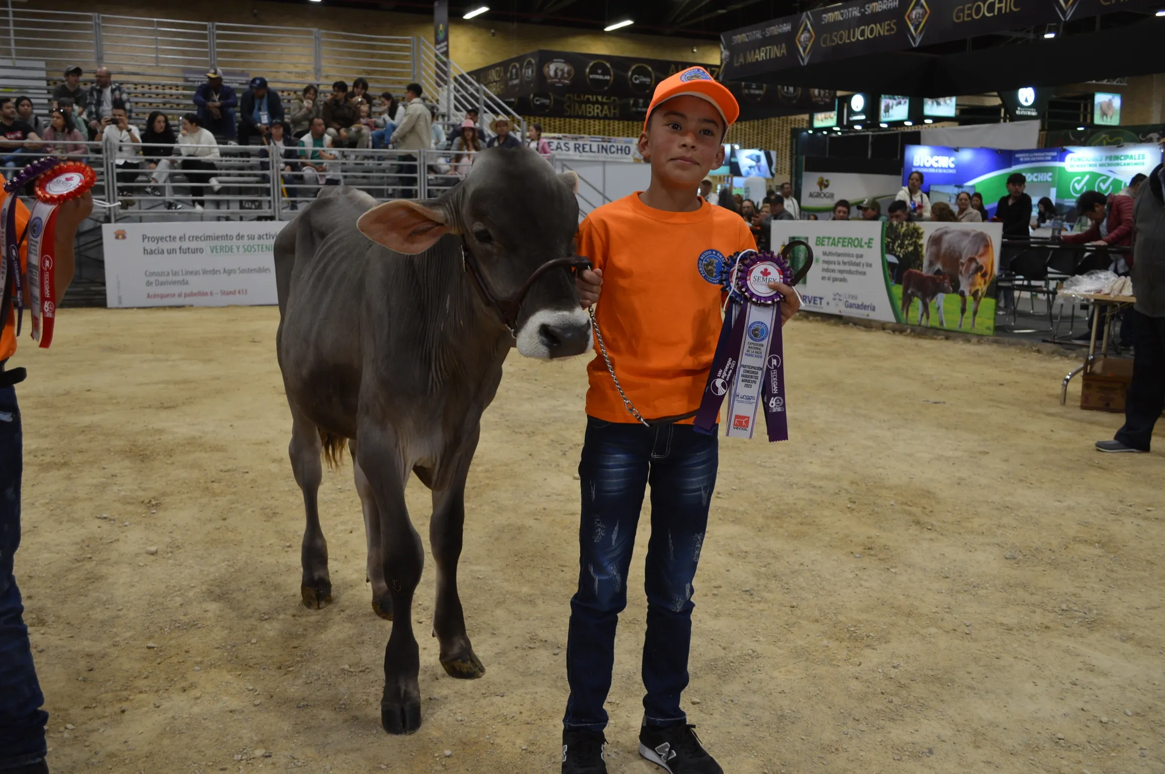 rs=w 2320,h 1542 (15)