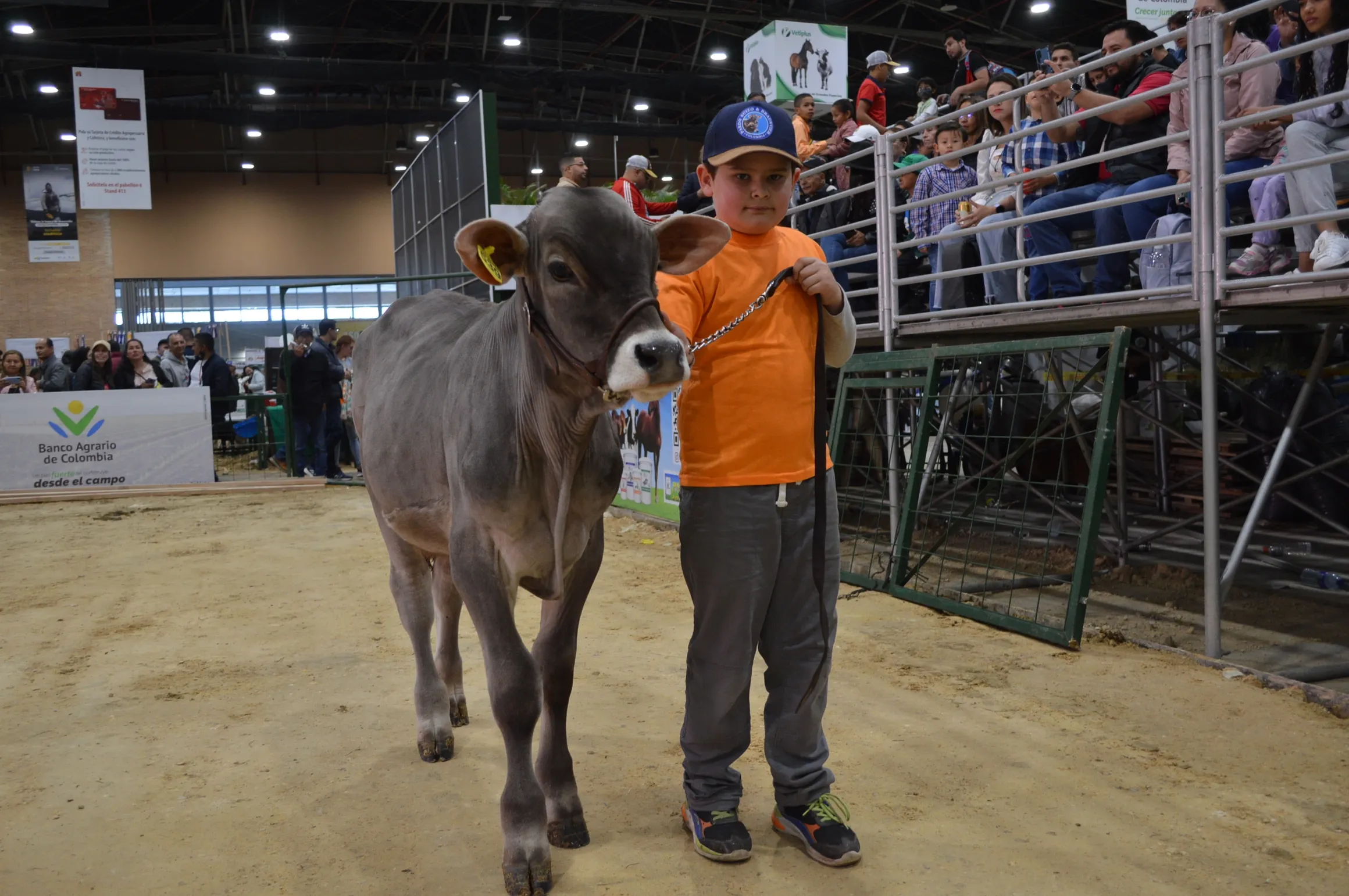 rs=w 2320,h 1542 (2)