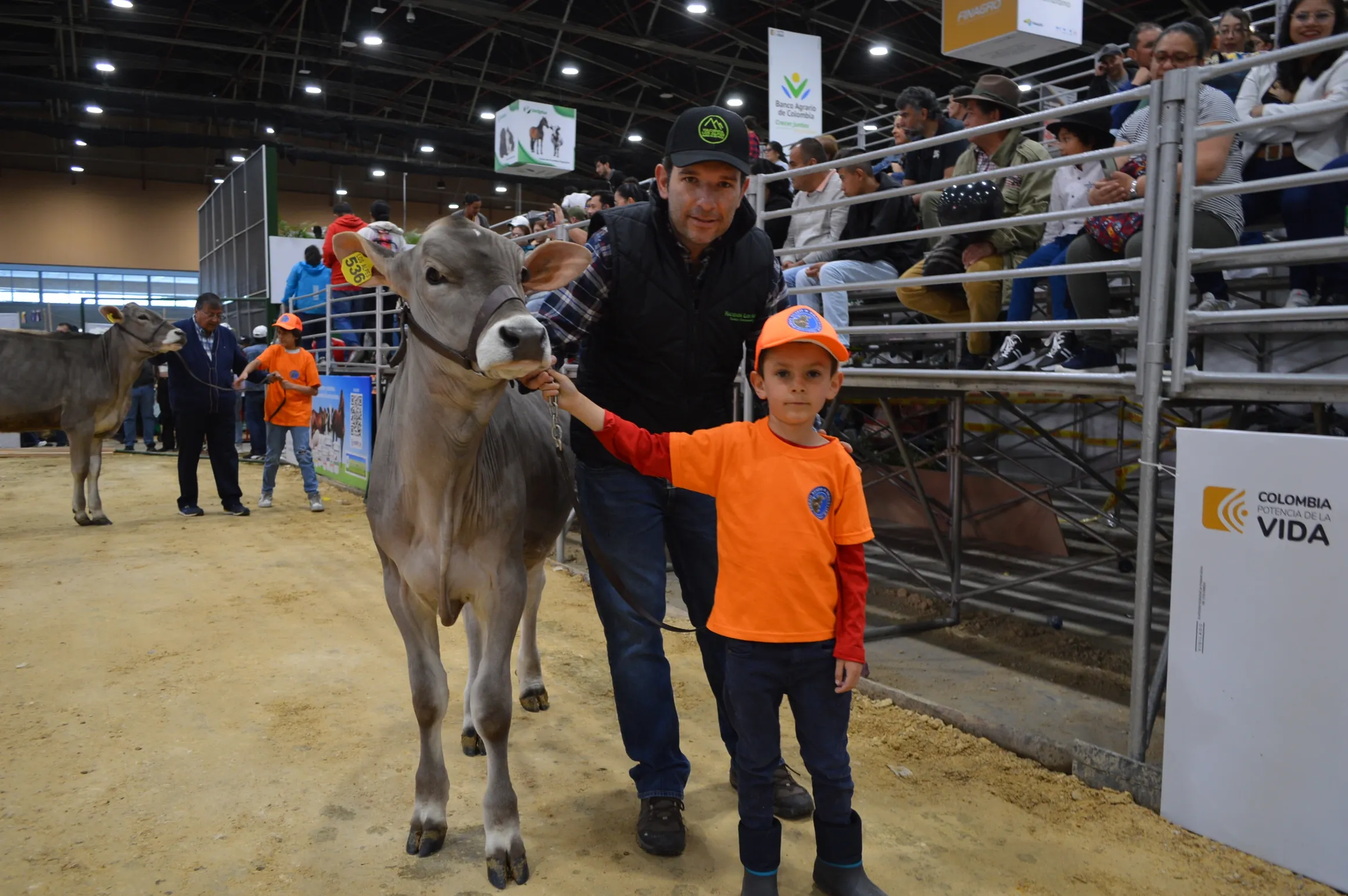 rs=w 2320,h 1542 (3)