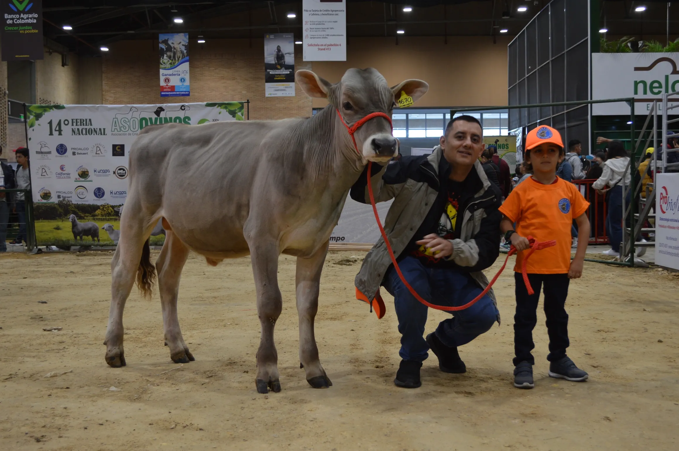 rs=w 2320,h 1542 (4)