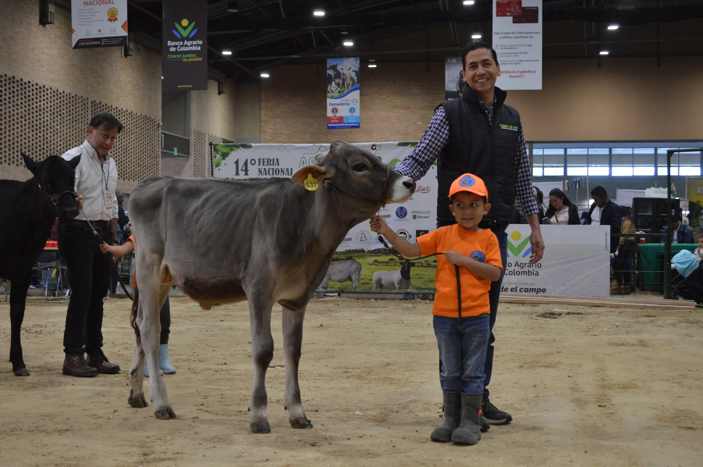 rs=w 2320,h 1542 (5)