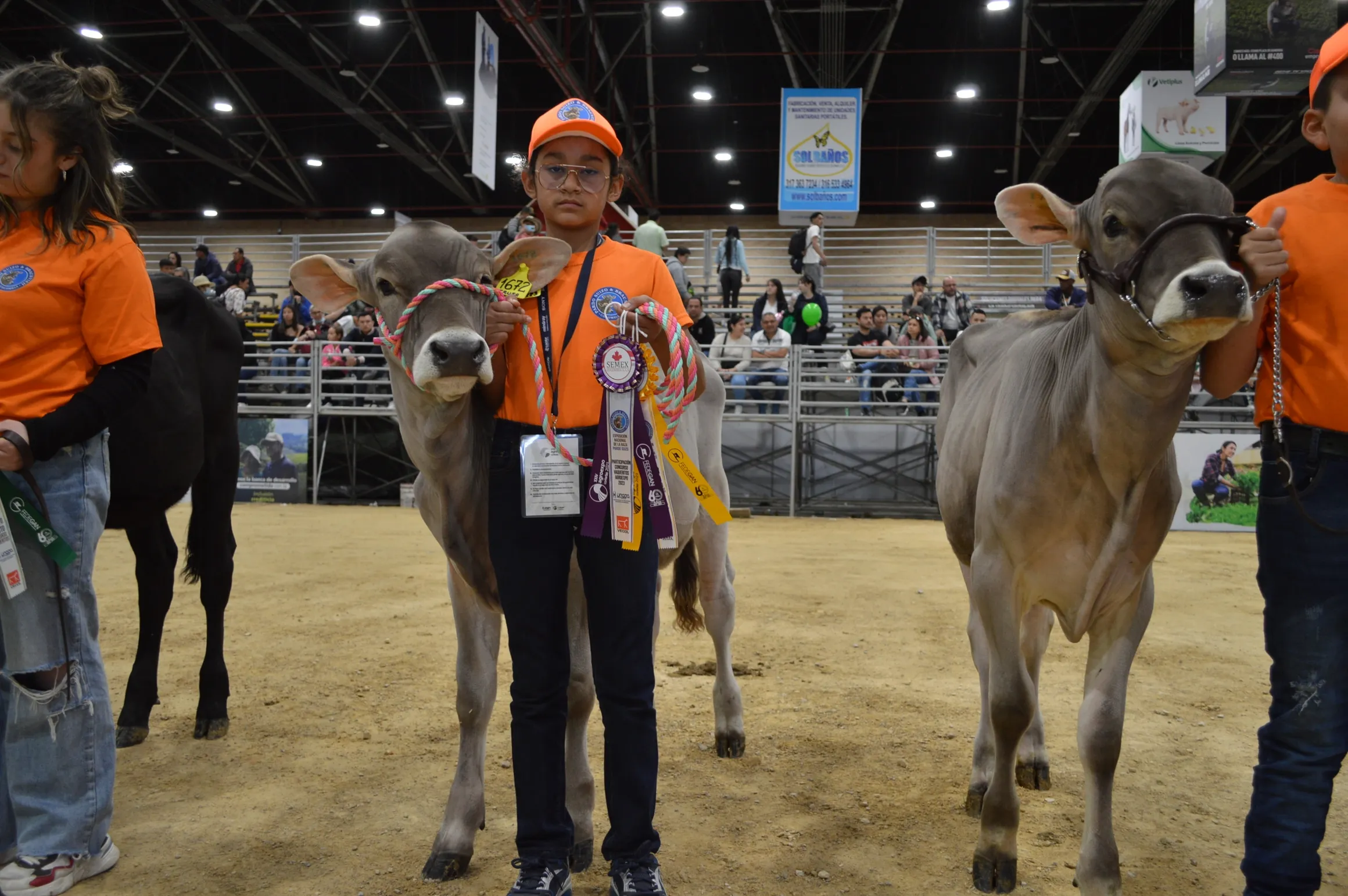 rs=w 2320,h 1542 (7)