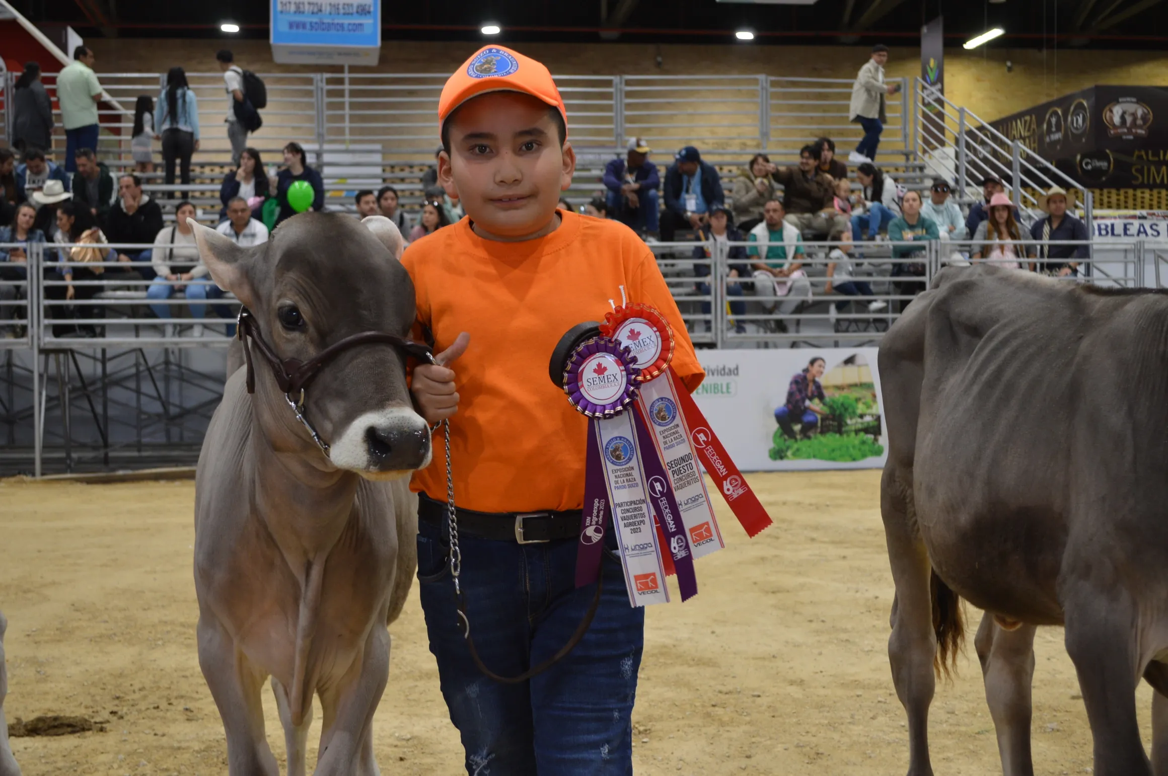 rs=w 2320,h 1542 (8)