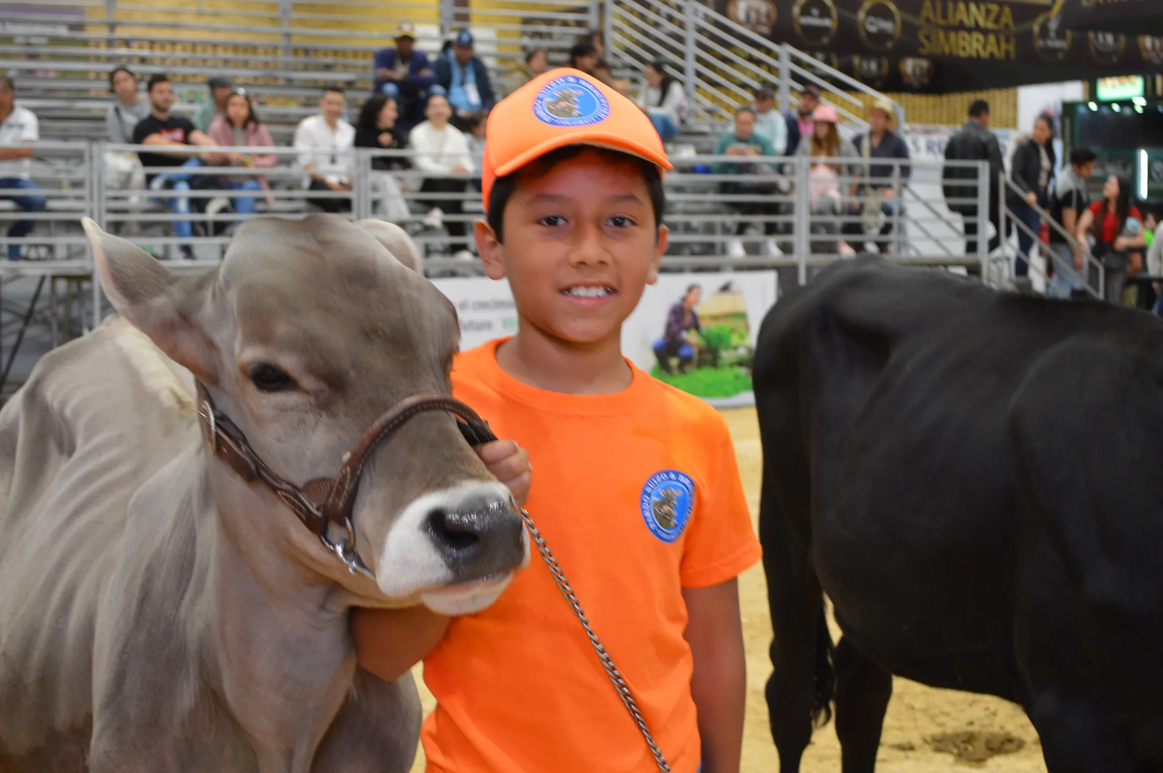 rs=w 2320,h 1542 (9)