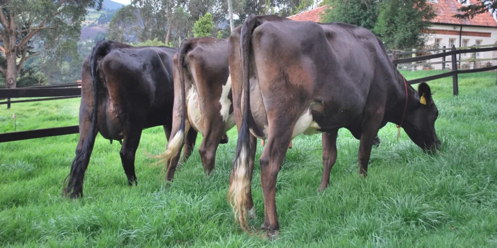 rs=w 2480,h 1240,cg true (1)