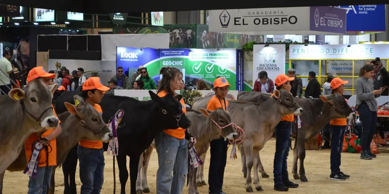 rs=w 776,h 388,cg true (3)