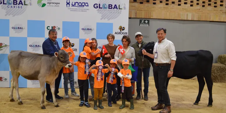 rs=w 776,h 388,cg true (4)