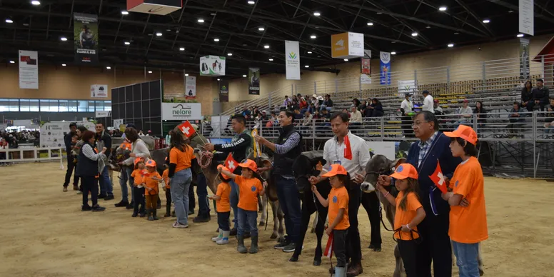 rs=w 776,h 388,cg true