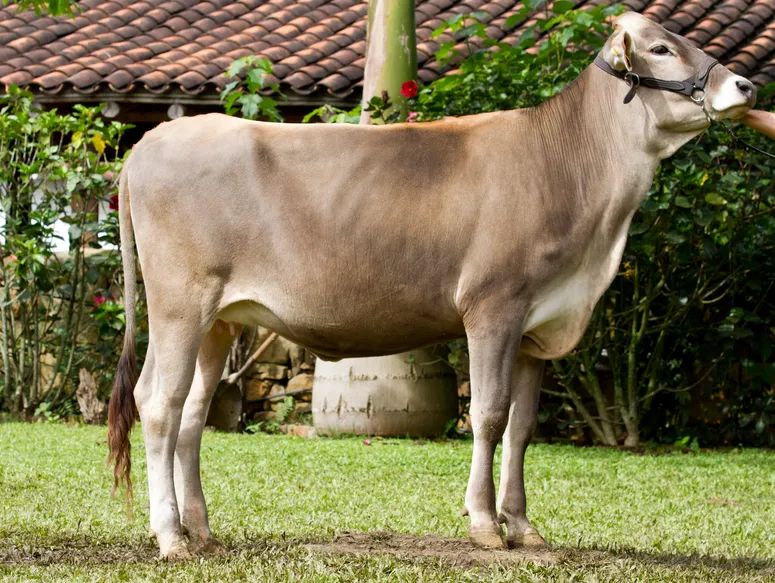 rs=w 776,h 583,cg true (2)