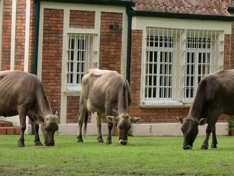 rs=w 776,h 583,cg true