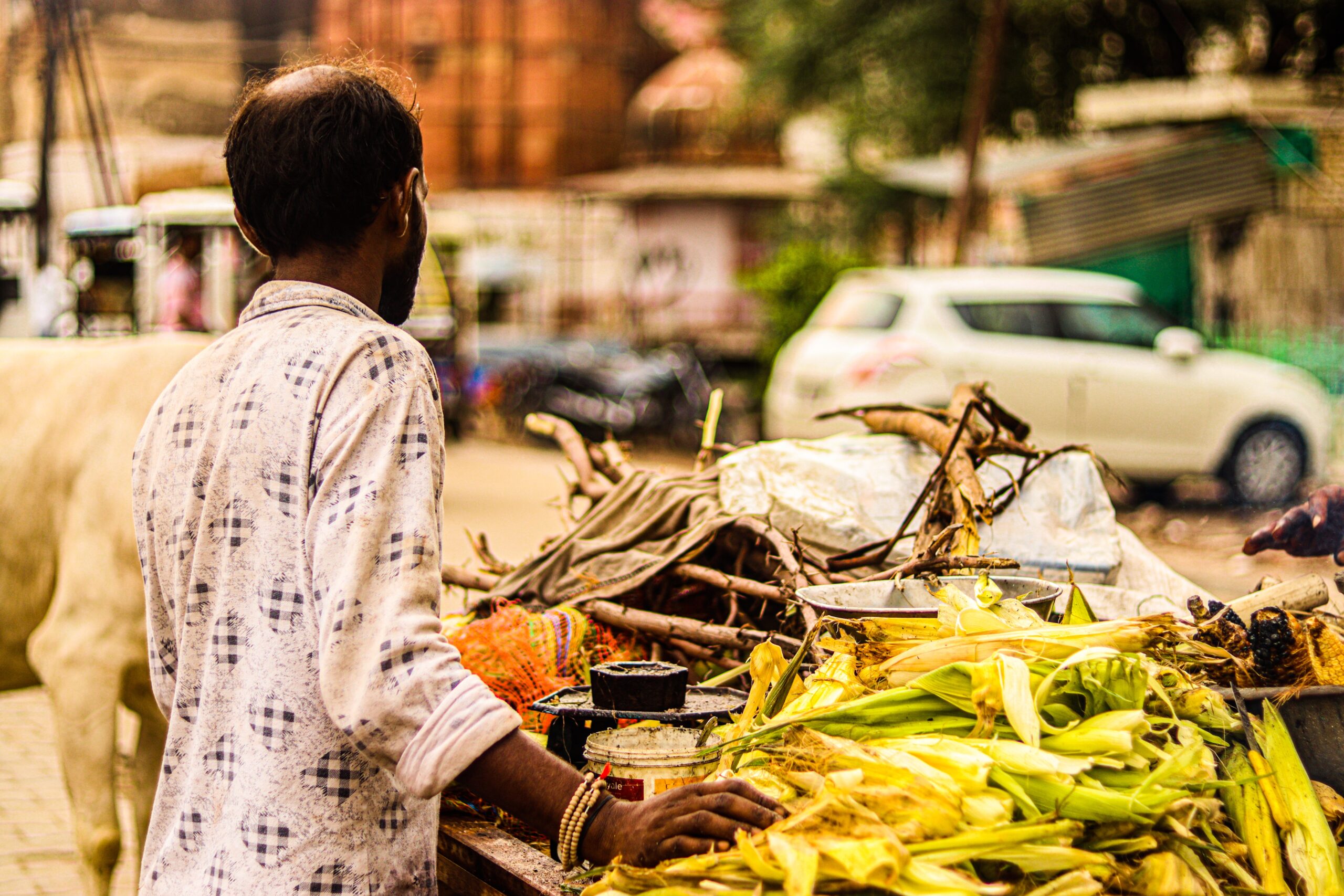 swastikarora india 7350313