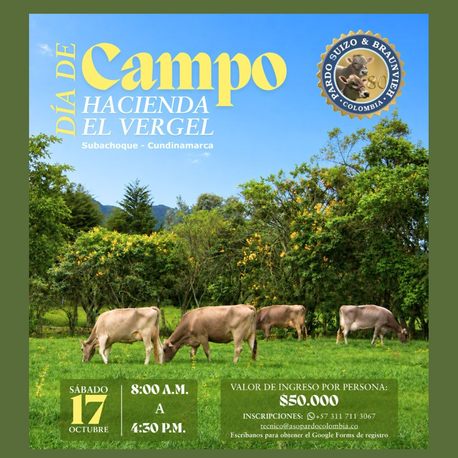 dia de campo 2